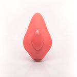 Companion Panty Vibe