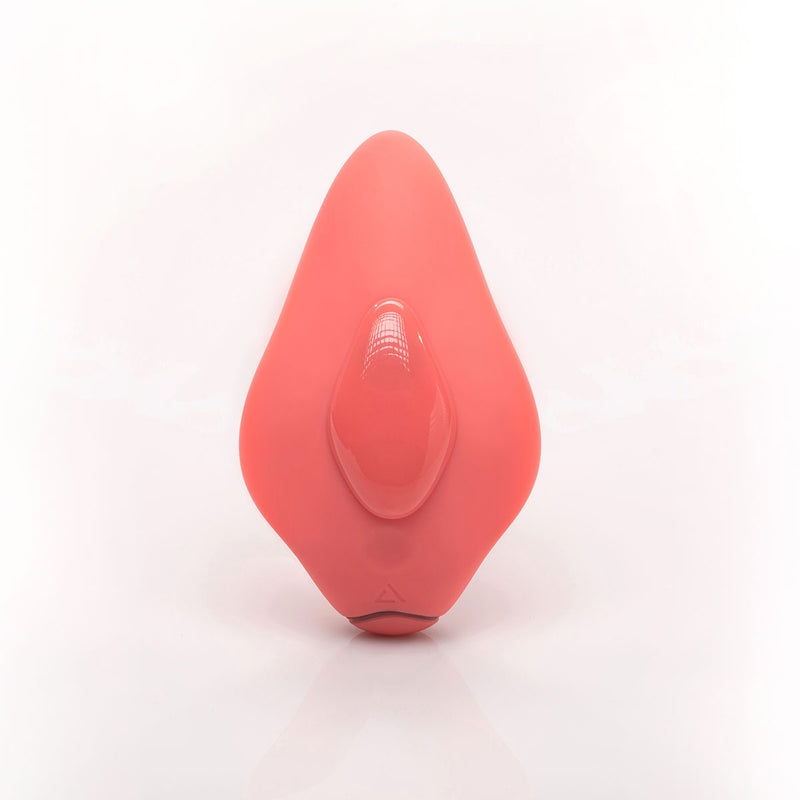 Companion Panty Vibe
